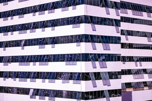 九游娱乐官方平台-体育新闻中心推动体育赛事版权保护法律体系建设，体育赛事版权如何保护  第2张